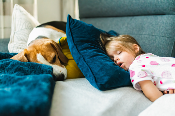 Společné spaní se psem v posteli